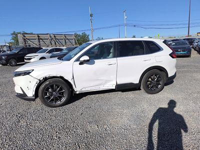 2026 Honda CR-V EX-L AWD 1.5L