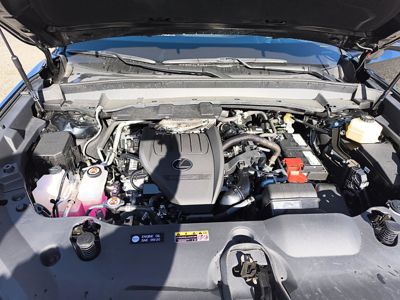 2025 Lexus TX-350 Premium AWD 2.4L