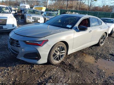 2024 Acura Tlx