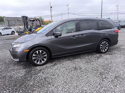 2024 Honda Odyssey EX-L 3.5L