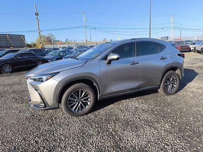 2023 Lexus NX-350 AWD 2.4L