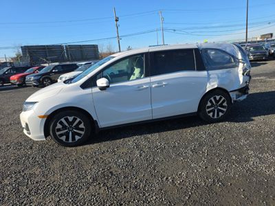 2025 Honda Odyssey EX-L 3.5L