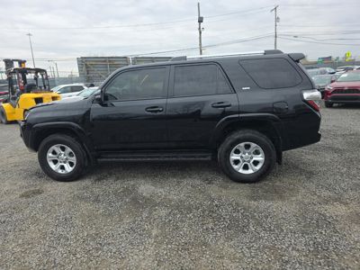 2024 Toyota 4-Runner SR5 Premium 4X4 4.0L