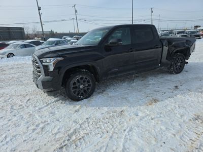 2024 Toyota Tundra Platinum 4X4 3.4L