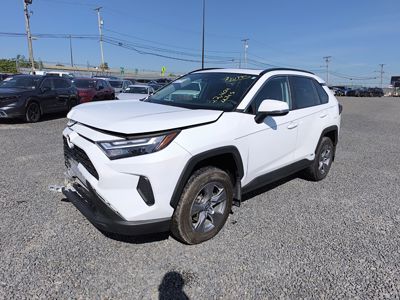 2024 Toyota RAV-4 XLE AWD 2.5L Hybrid
