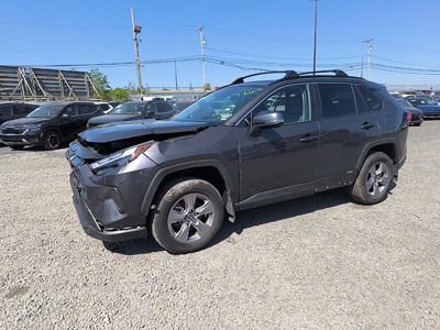 2025 Toyota RAV-4 XLE AWD 2.5L Hybrid