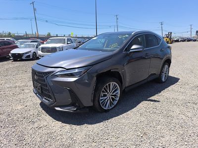 2024 Lexus NX-350 Luxury AWD 2.4L