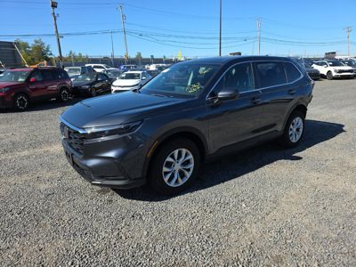 2025 Honda CR-V LX AWD 1.5L