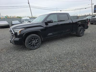 2023 Toyota Tundra Platinum 4X4 3.5L