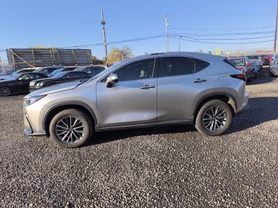 2023 Lexus NX-350 AWD 2.4L