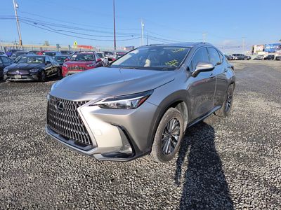 2023 Lexus NX-350 AWD 2.4L