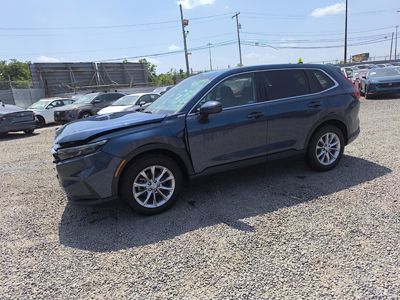2024 Honda CR-V EX AWD 1.5L