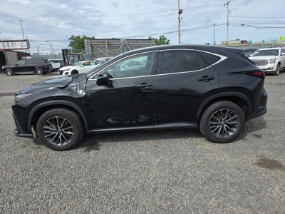 2024 Lexus NX-350 Premium AWD 2.4L