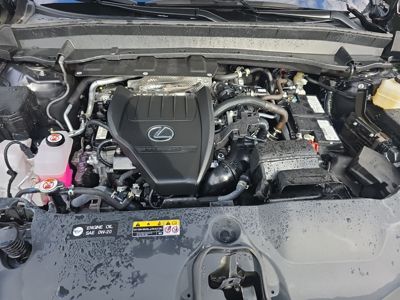 2025 Lexus TX-350 Premium AWD 2.4L